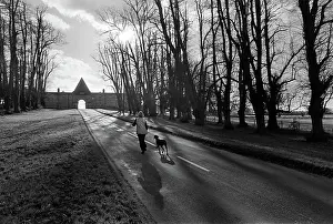 Vanishing: Winter light, Castle Howard, Yorks