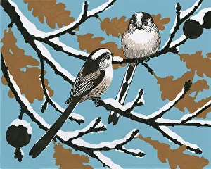 Tits: Winter Longtails