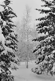 Pavel: Winter in Moscow region