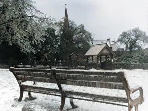Atcolourisedpic: WINTER IN THE PARK