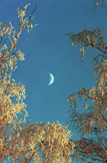 Tyumen: Winter photo art work, 1994