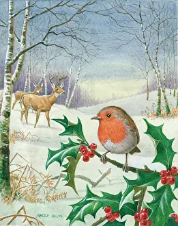 Racey: Winter - robin on holly branch with deer
