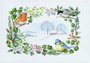 Bluetit: Winter Scene border of birds and winter foliage