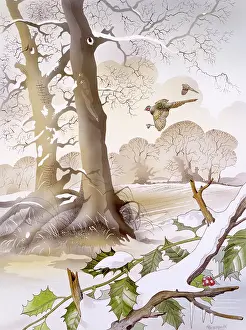 Malcolm Greensmith Collection: Winter scene with holly and birds