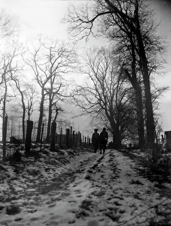 Fading: Winter Scene on Wimbledon Common
