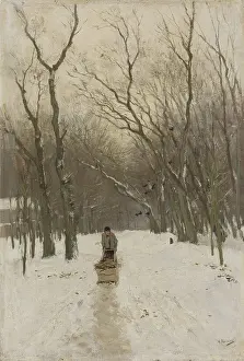 Accents: Winter in the Scheveningse Bushes