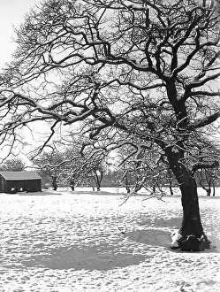 Merseyside: WINTER SNOW SCENE