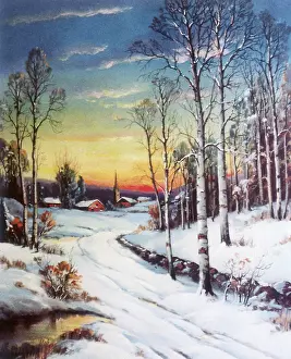 Mcmurray: Winter Splendor