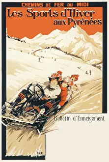 Sledging: Winter sports in the Pyrenees poster