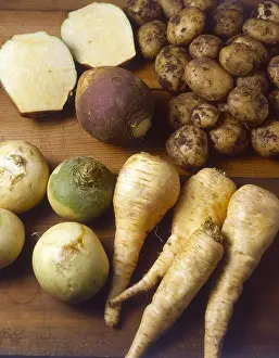 Turnips: WINTER VEGETABLES