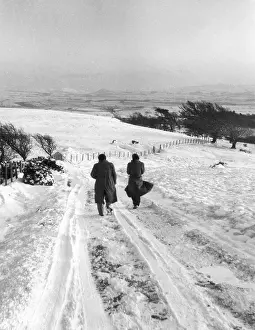 Braving: WINTER WALK