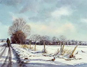 Pheasants: A Winter Walk ' man and dog in snow