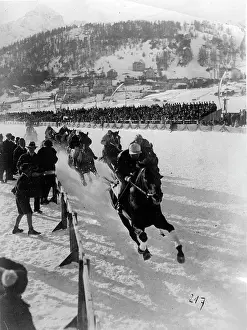 Winterly: Winterly horse race