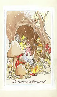 Wintertime in Fairyland