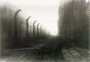 Perimeter: WIRE AT AUSCHWITZ