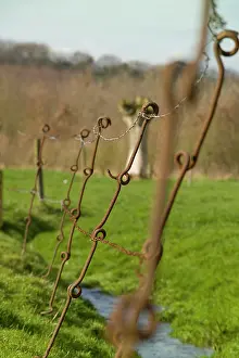 Wiring: Wire pickets usewd as fencing posts
