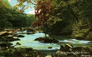 Morpeth: On the Wisbeck, Bothal Woods, Northumberland