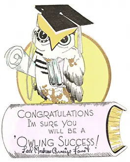 Graduate: Wise Owl