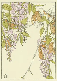 Pochoir: Wistaria