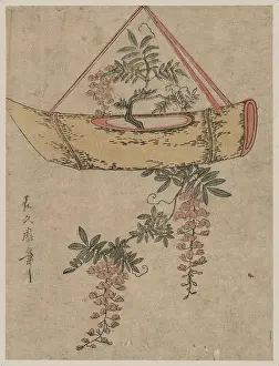 Wisteria: Wisteria in a boat-shaped flower container