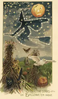 Broomstick: Witch on Broom