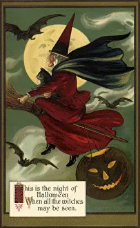 Bats: Witch on Her Broom