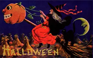 Broomstick: Witch on Broom