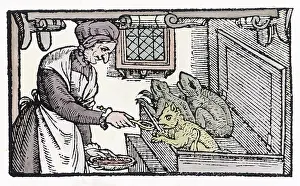 1579: Witch Feeds Familiars