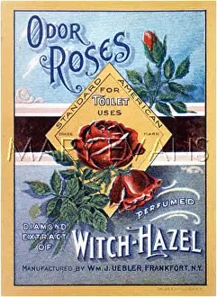 Odor: WITCH HAZEL ADVERT
