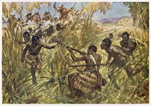 Repels: Witchell - Maori Attack