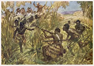 Repels: Witchell - Maori Attack