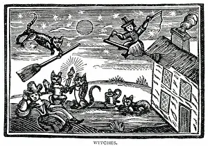 Broomstick: WITCHES & FAMILIARS