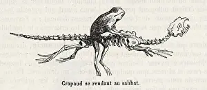 A witch's toad rides a skeleton to the sabbat