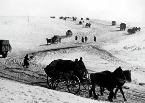 Withdrawal of German troops from the Caucasus, 1942