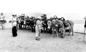 Humberside: Withernsea, the Donkeys c1955