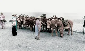 Humberside: Withernsea, the Donkeys c1955