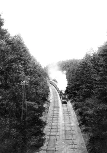 Witley: Witley, Pine Woods Railway 1908