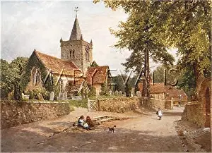 Witley: WITLEY/SURREY 1906