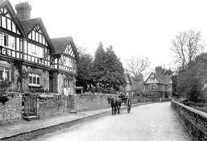 Witley: Witley, the Village 1906