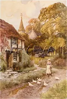 Warks: WIXFORD/WARKS C1906