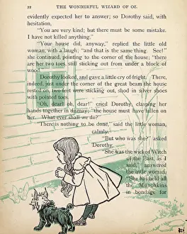 Toto: WIZARD OF OZ/HOUSE