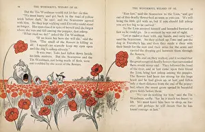 Woodsman: WIZARD OF OZ/POPPY FIELD