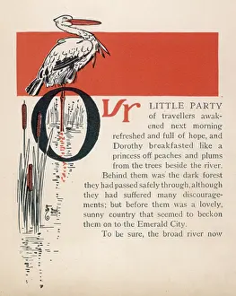 Scarecrow: WIZARD OF OZ/STORK