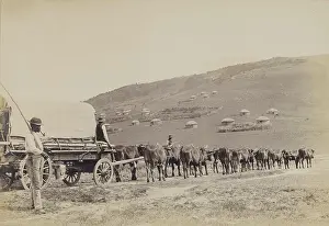 Herders: W.L. Geddes on the way down the Hogsback