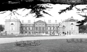 Cedars: Woburn Abbey, from the Cedars c1955