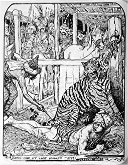 Woken: WOKEN MAN AND TIGER
