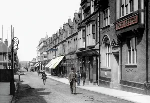 Chertsey: Woking, Chertsey Road 1898