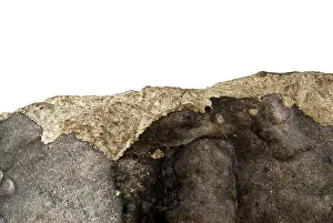 Ordinary: Wold Cottage meteorite (detail)