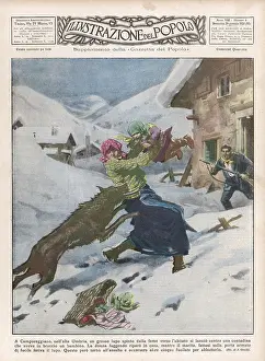 Snatches: Wolf attack in Camporeggiano, Umbria, Italy