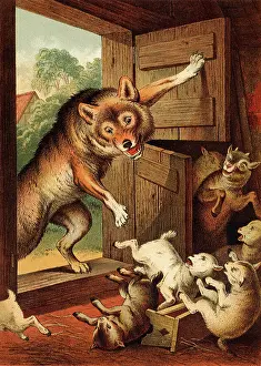 Wolves: Wolf Corners Lambs